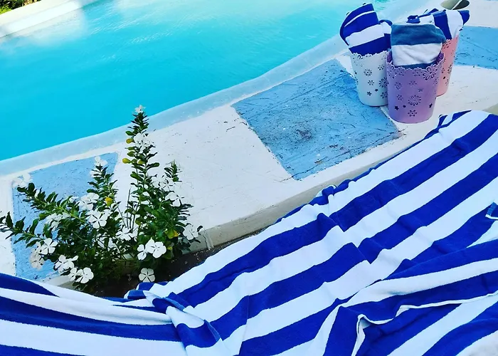 Sweetsop Jamaica And Tour * Montego Bay