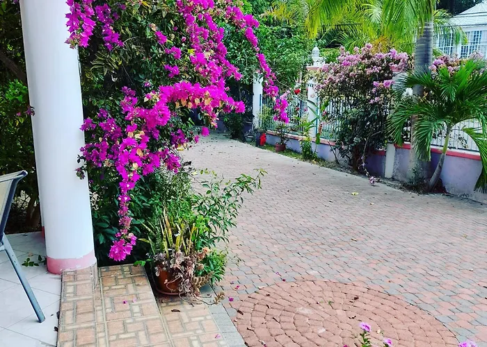 Apartamento Sweetsop Jamaica And Tour